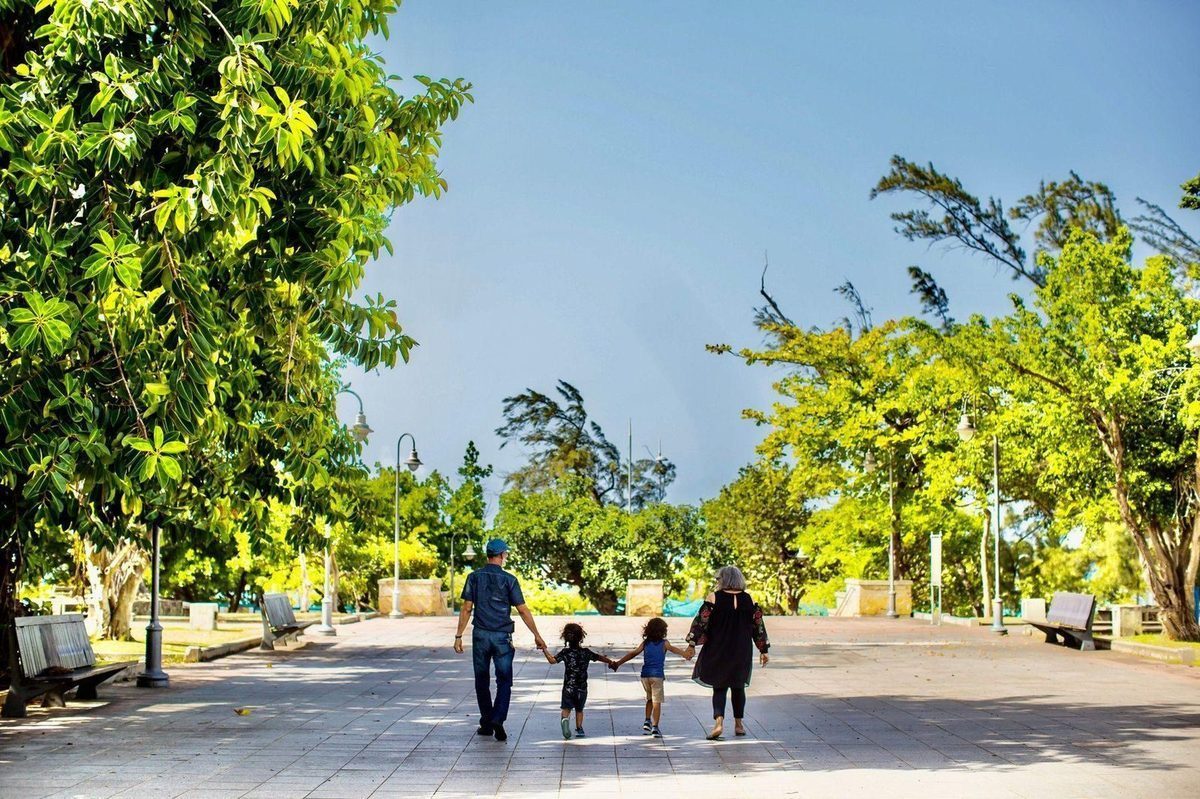 How the Court determines parenting arrangements